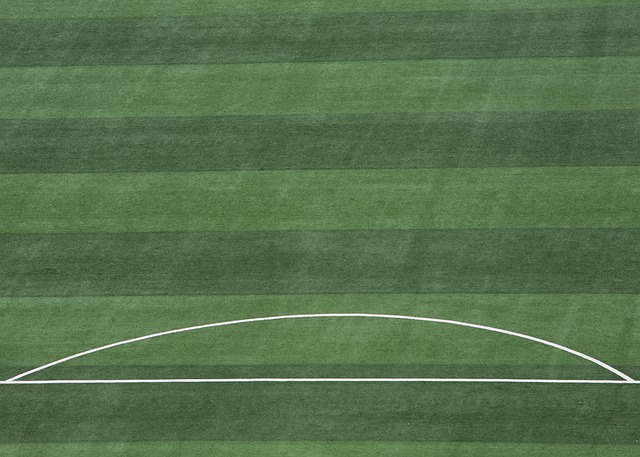 广东94-80广州迎4好消息！奎因萨姆纳好使，两新星提拔稳进轮换！