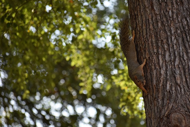 足坛炸锅！这一夜发生太多事